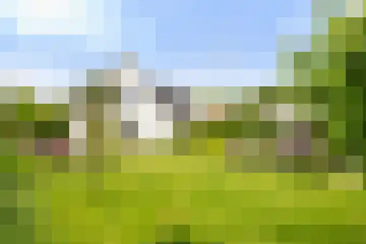 Krakestee 8 Oud-Beijerland thumbnail 50