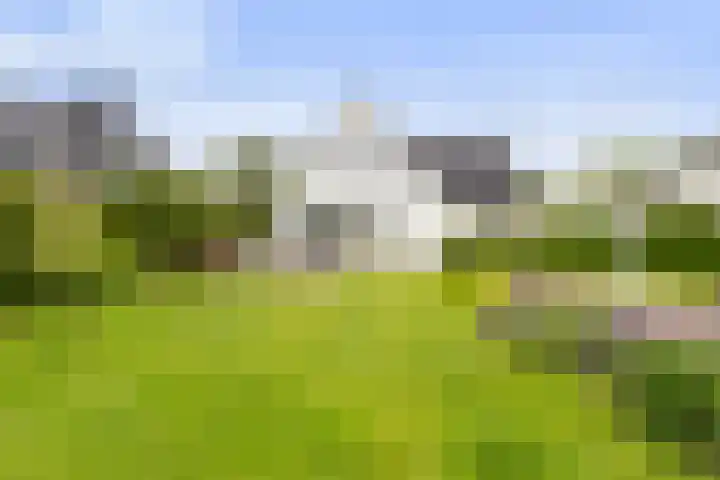 Krakestee 8 Oud-Beijerland thumbnail 51