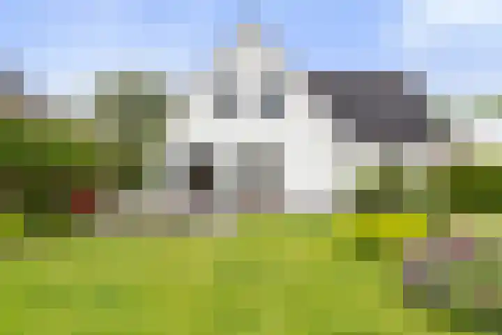 Krakestee 8 Oud-Beijerland thumbnail 52