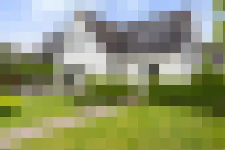 Krakestee 8 Oud-Beijerland thumbnail 53
