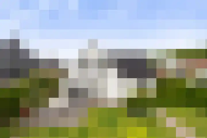 Krakestee 8 Oud-Beijerland thumbnail 54