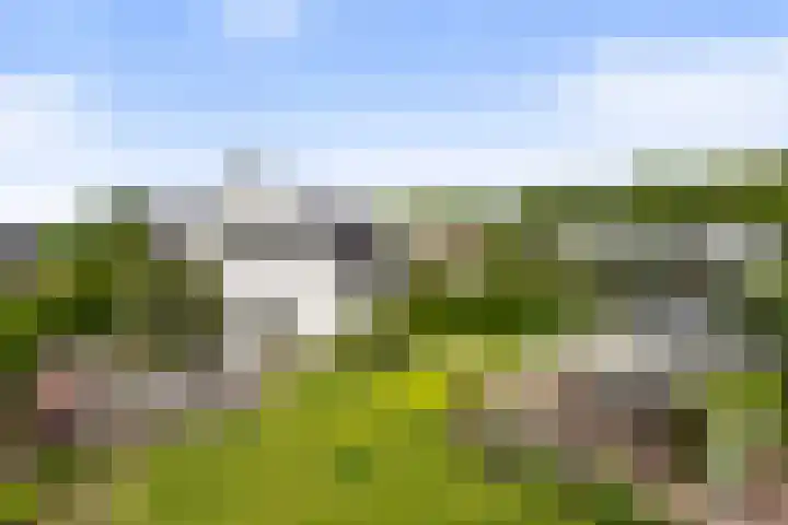 Krakestee 8 Oud-Beijerland thumbnail 55