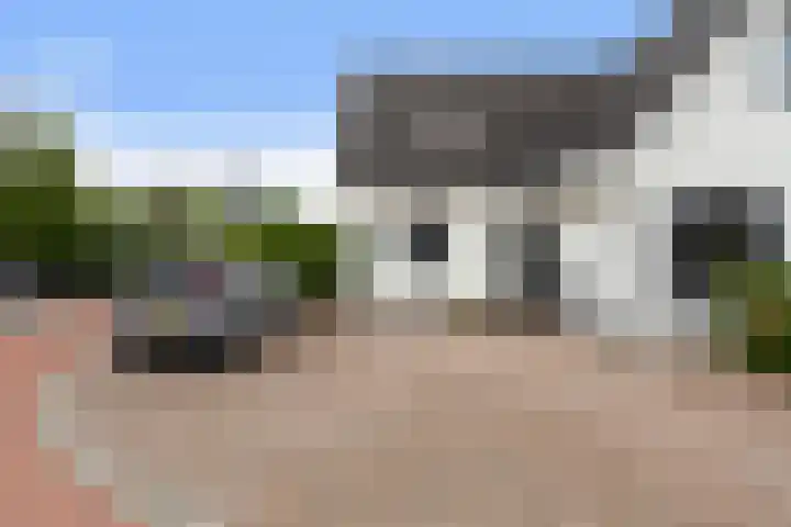 Krakestee 8 Oud-Beijerland thumbnail 7