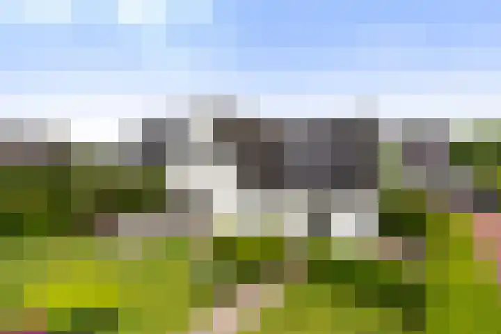Krakestee 8 Oud-Beijerland thumbnail 72