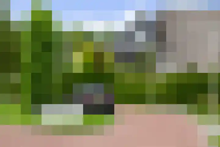 Krakestee 8 Oud-Beijerland thumbnail 74