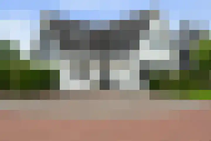 Krakestee 8 Oud-Beijerland thumbnail 82