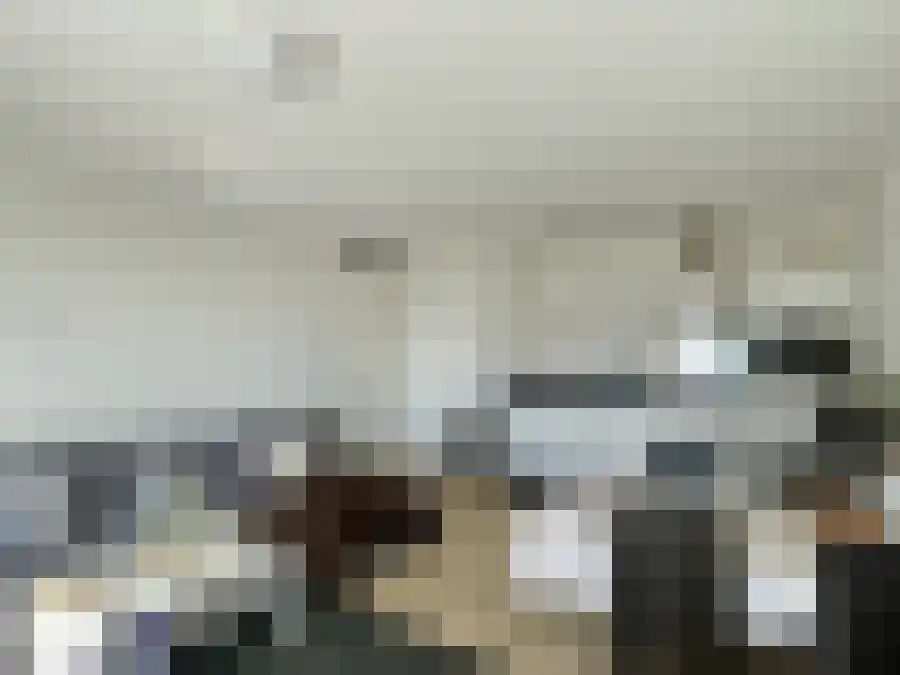 Kralendijkkade 99 Leiden thumbnail 5