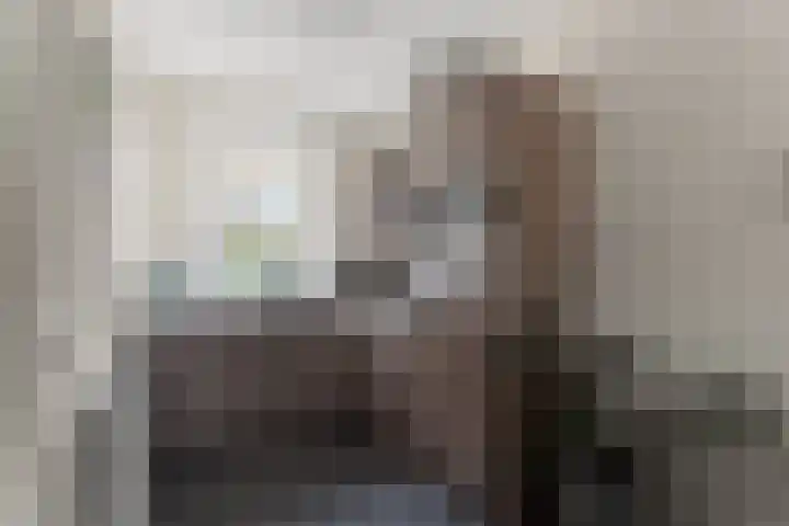 Kralingen 110 Assendelft thumbnail 14