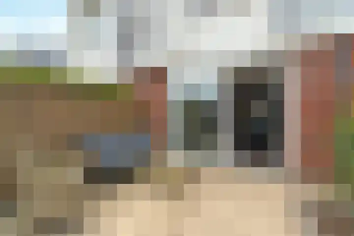 Kralingen 110 Assendelft thumbnail 20