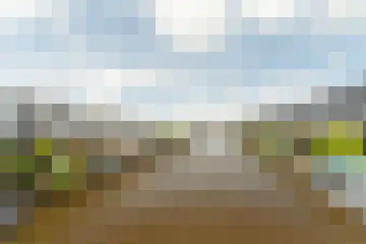 Kralingen 110 Assendelft thumbnail 28