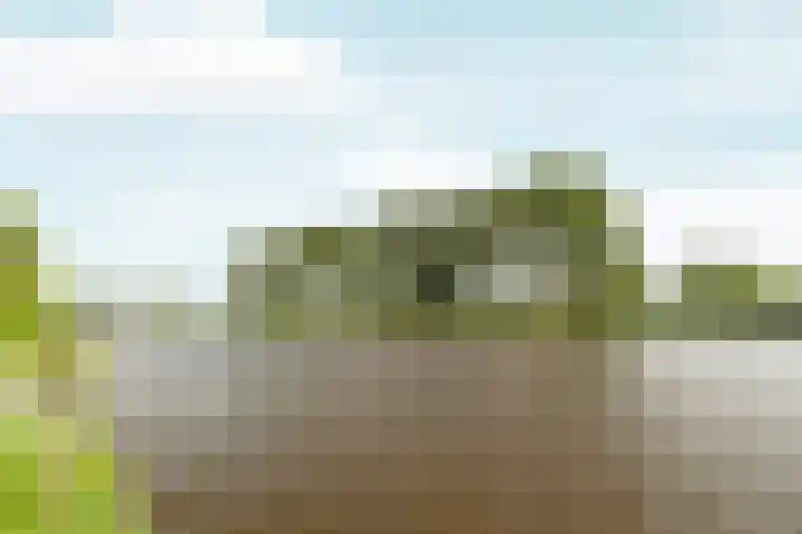 Kralingen 110 Assendelft thumbnail 29
