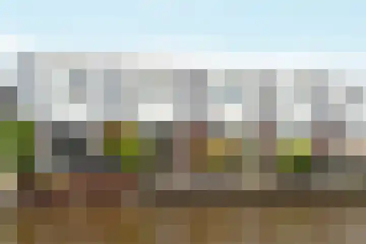 Kralingen 110 Assendelft thumbnail 33
