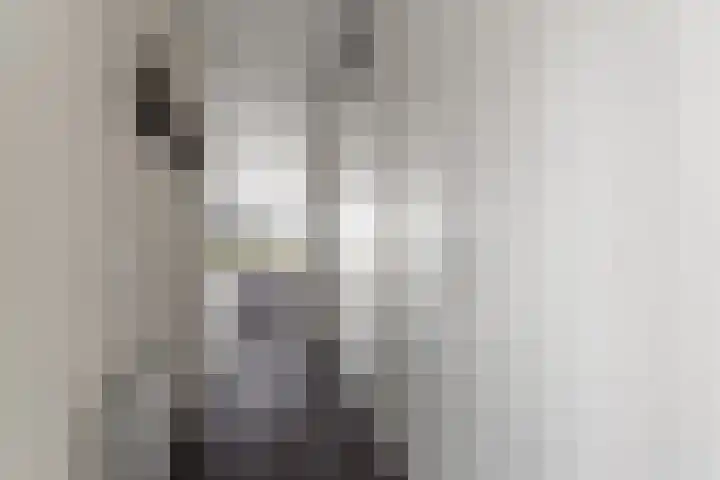 Kralingen 110 Assendelft thumbnail 8