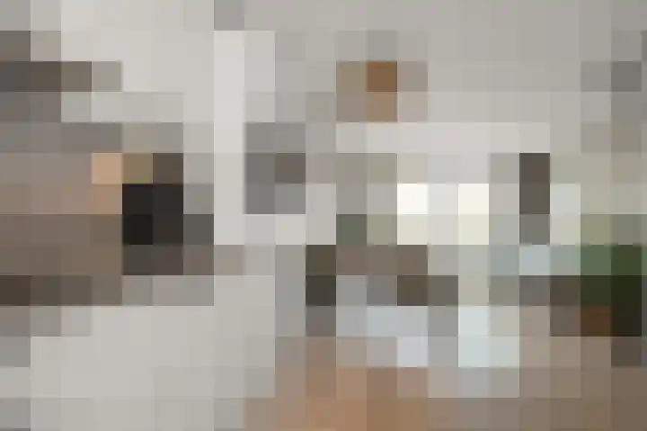 Kralingen 134 Assendelft thumbnail 11