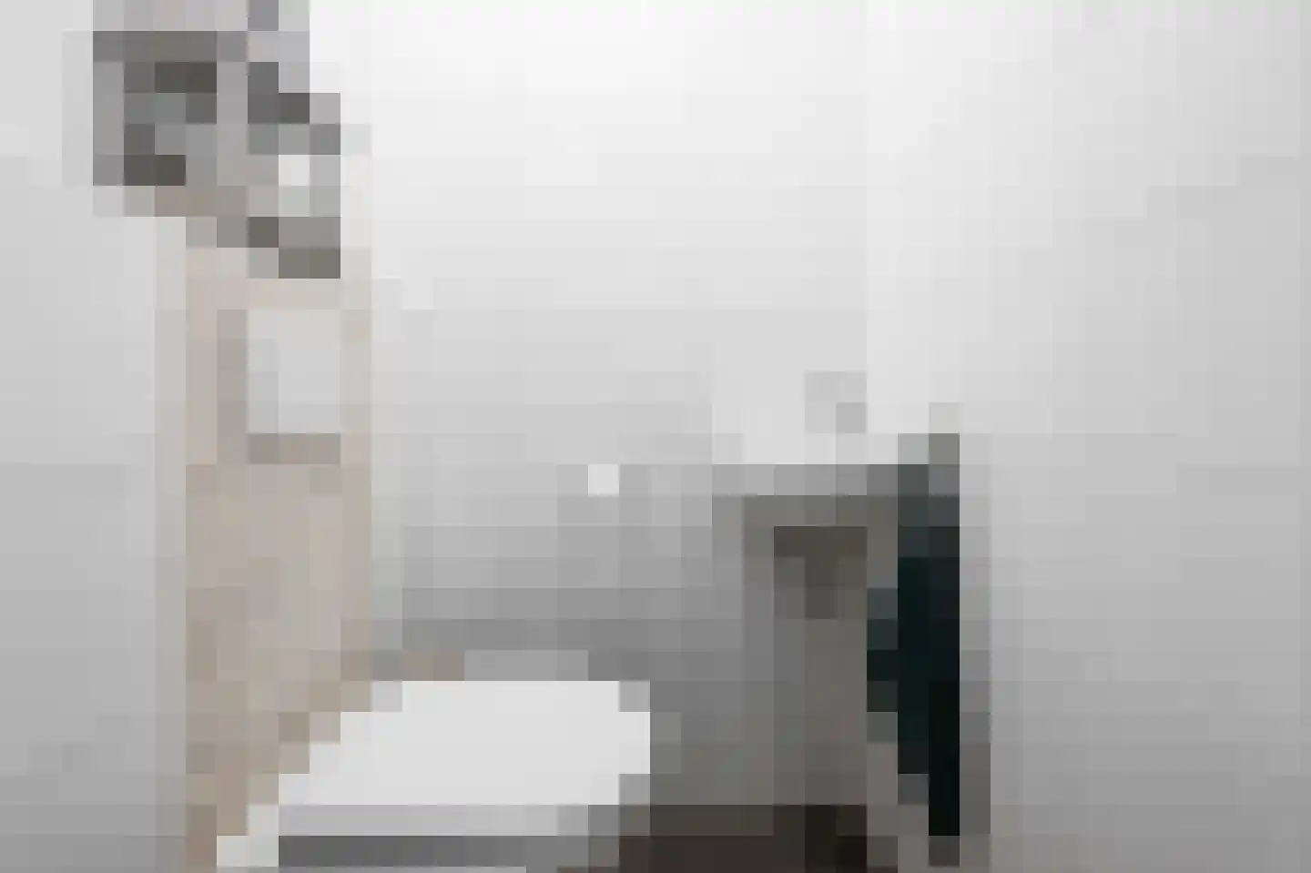 Kralingen 134 Assendelft thumbnail 12