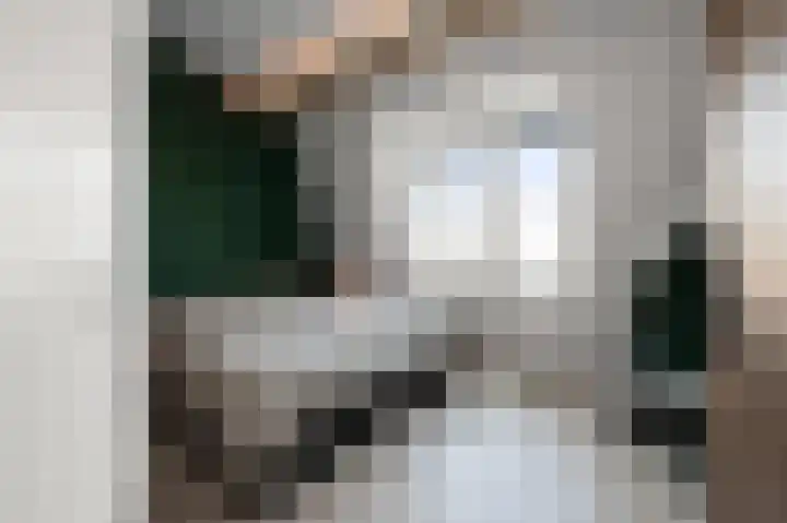 Kralingen 134 Assendelft thumbnail 13