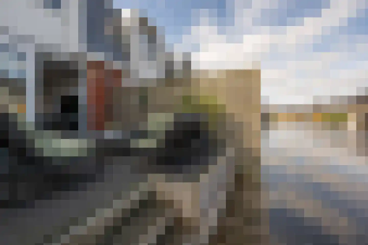 Kralingen 134 Assendelft thumbnail 24