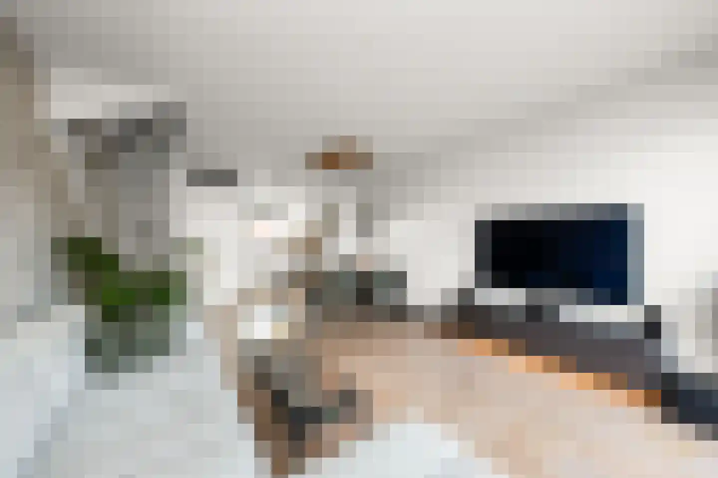 Kralingen 134 Assendelft thumbnail 6