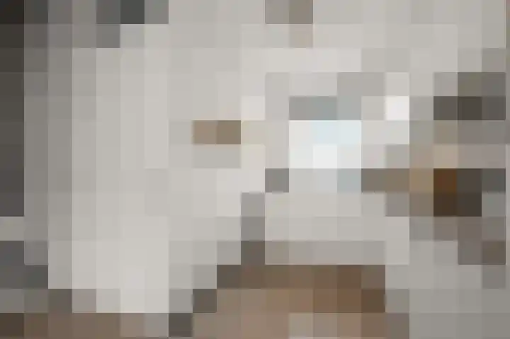 Kralingen 134 Assendelft thumbnail 8