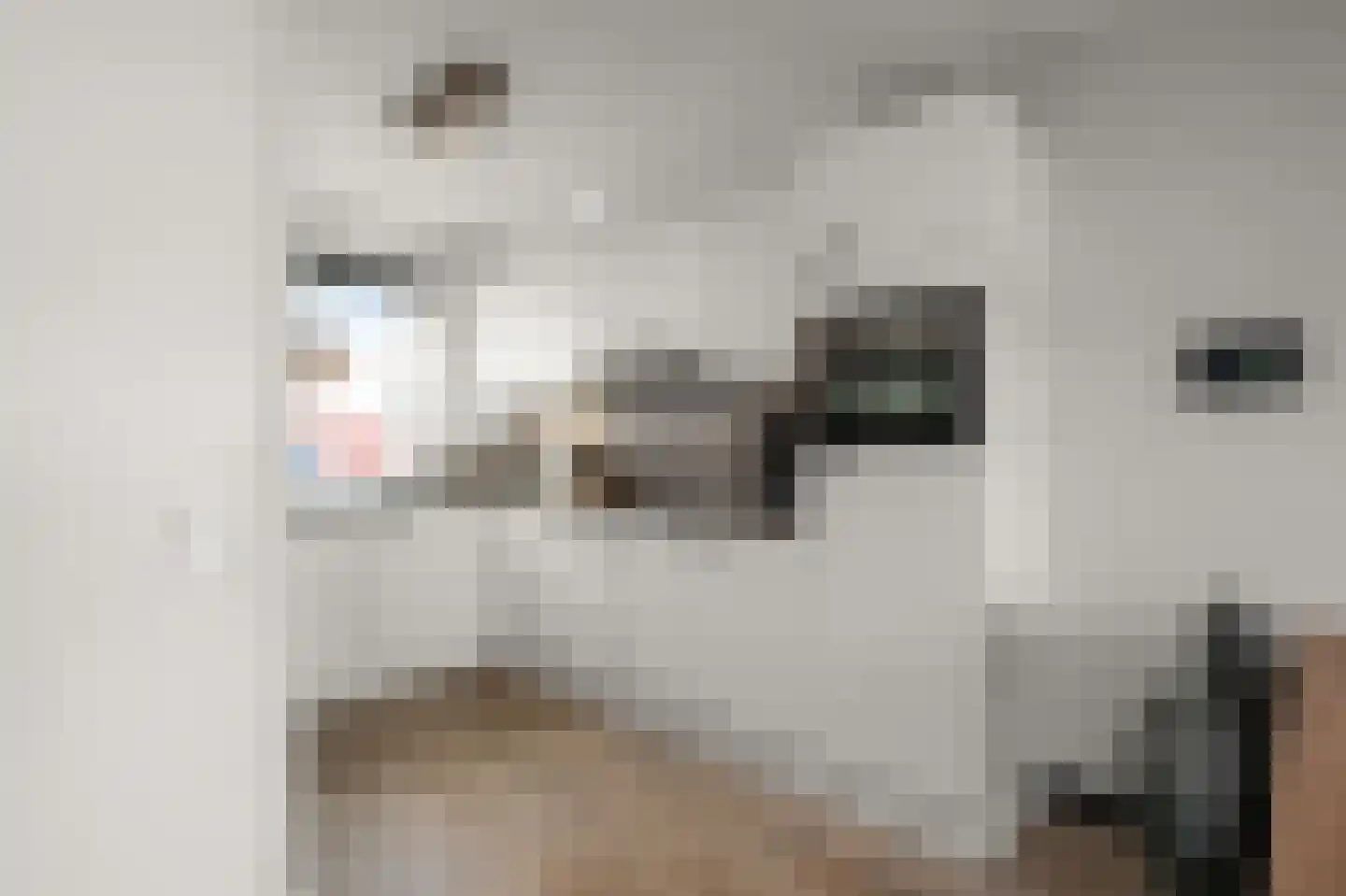 Kralingen 134 Assendelft thumbnail 9