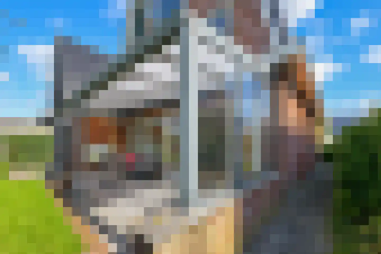 Kralingen 73 Assendelft thumbnail 45