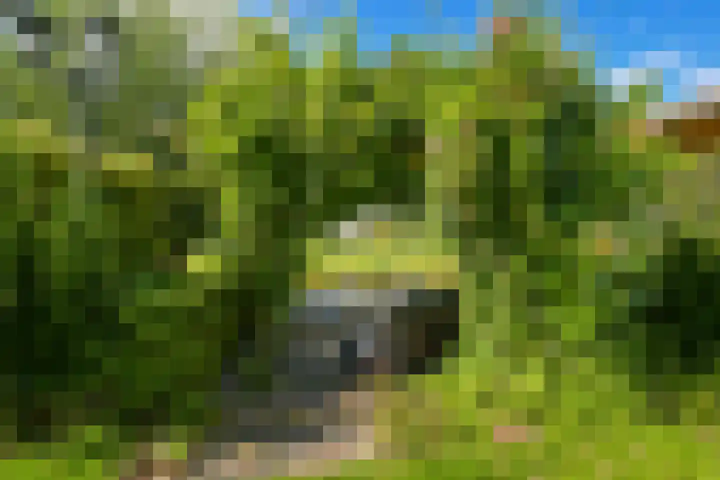 Kralingen 73 Assendelft thumbnail 47