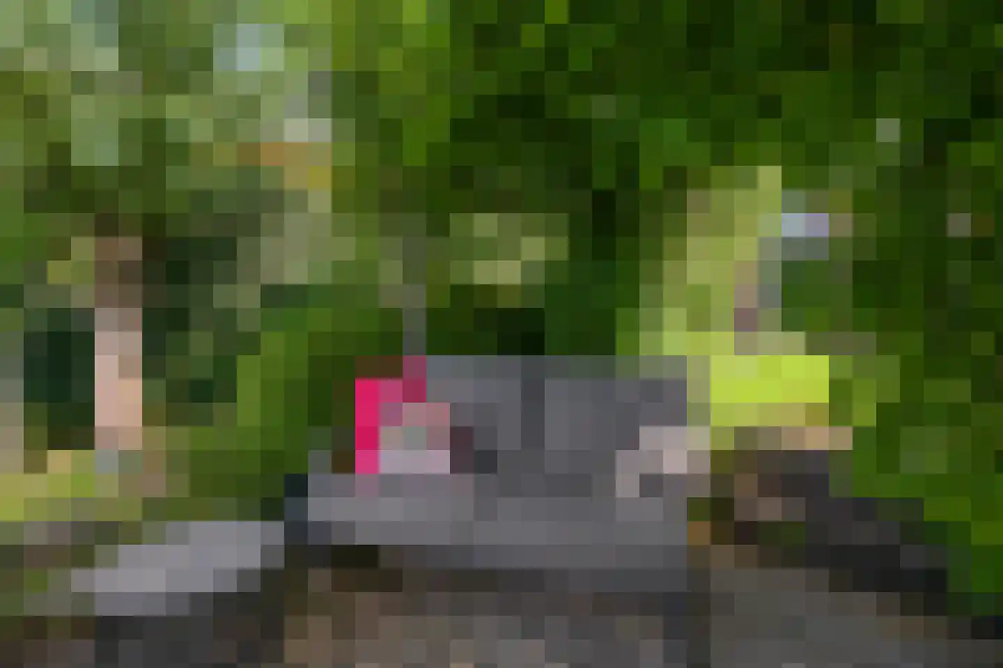 Kralingen 73 Assendelft thumbnail 48