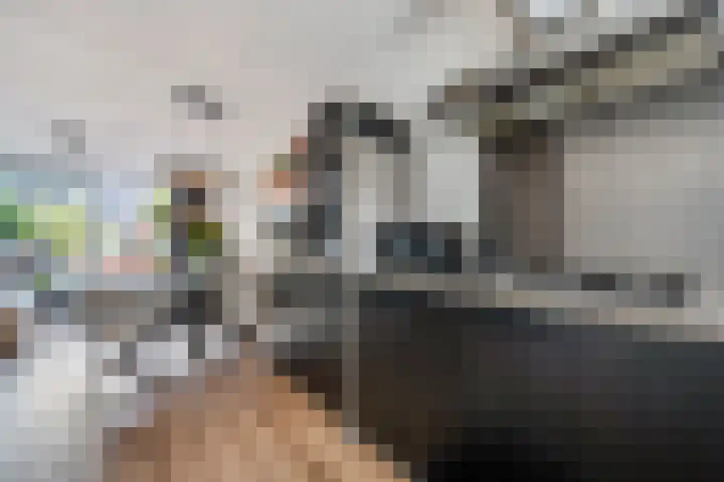Kralingen 96 Assendelft thumbnail 10