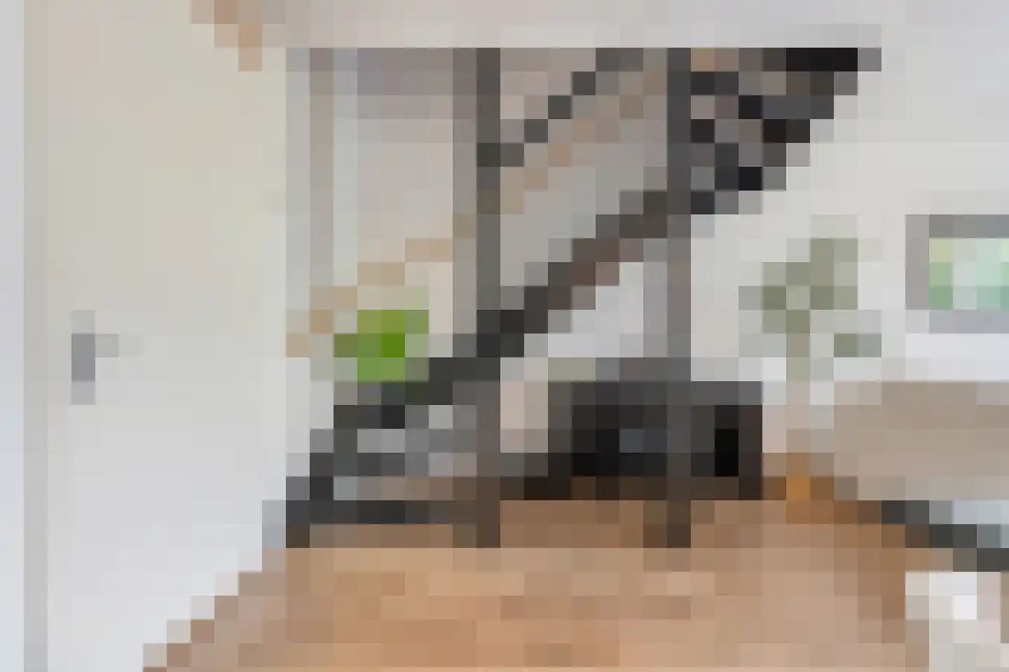 Kralingen 96 Assendelft thumbnail 15