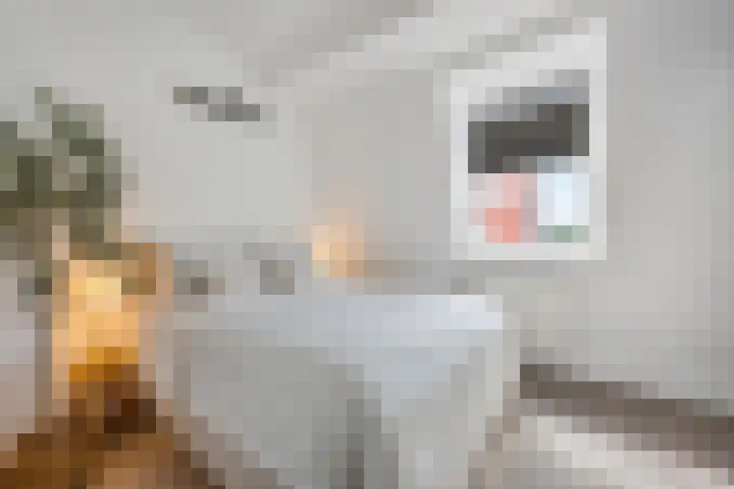 Kralingen 96 Assendelft thumbnail 16