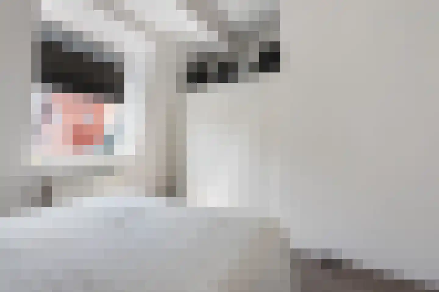 Kralingen 96 Assendelft thumbnail 18