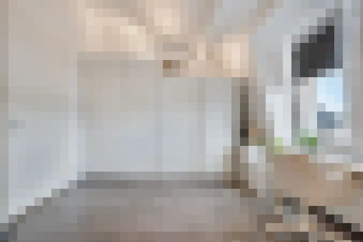 Kralingen 96 Assendelft thumbnail 21