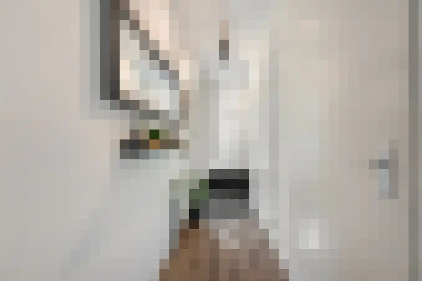 Kralingen 96 Assendelft thumbnail 26