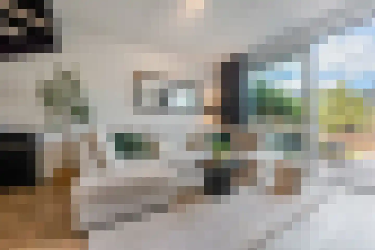 Kralingen 96 Assendelft thumbnail 4