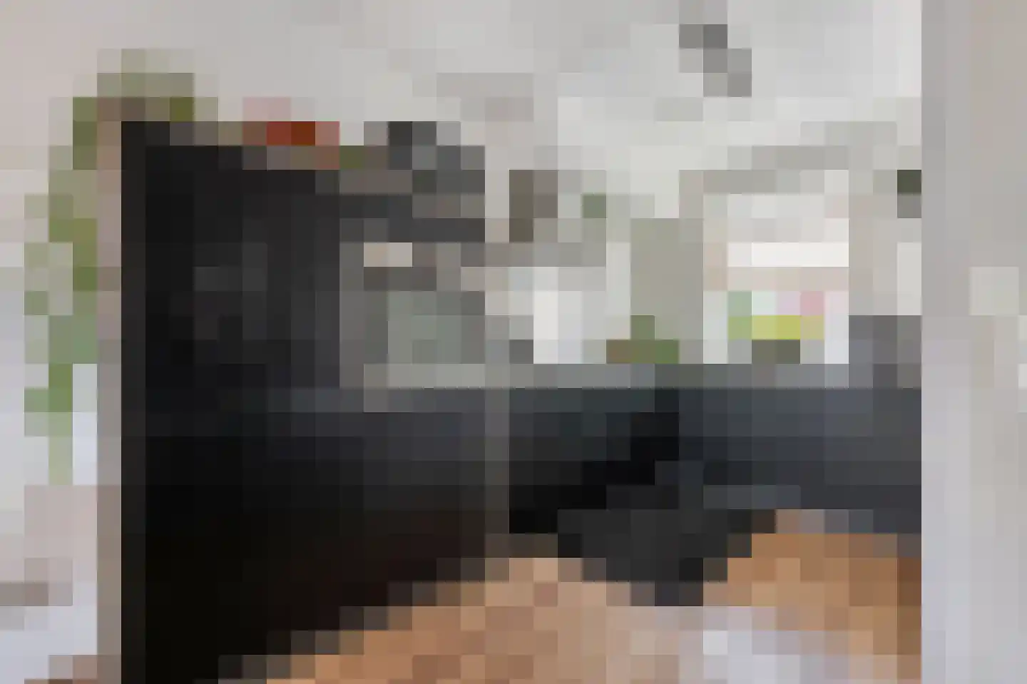 Kralingen 96 Assendelft thumbnail 7