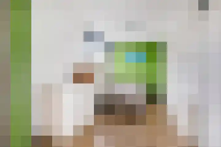 Kralingenpad 27 Arnhem thumbnail 18