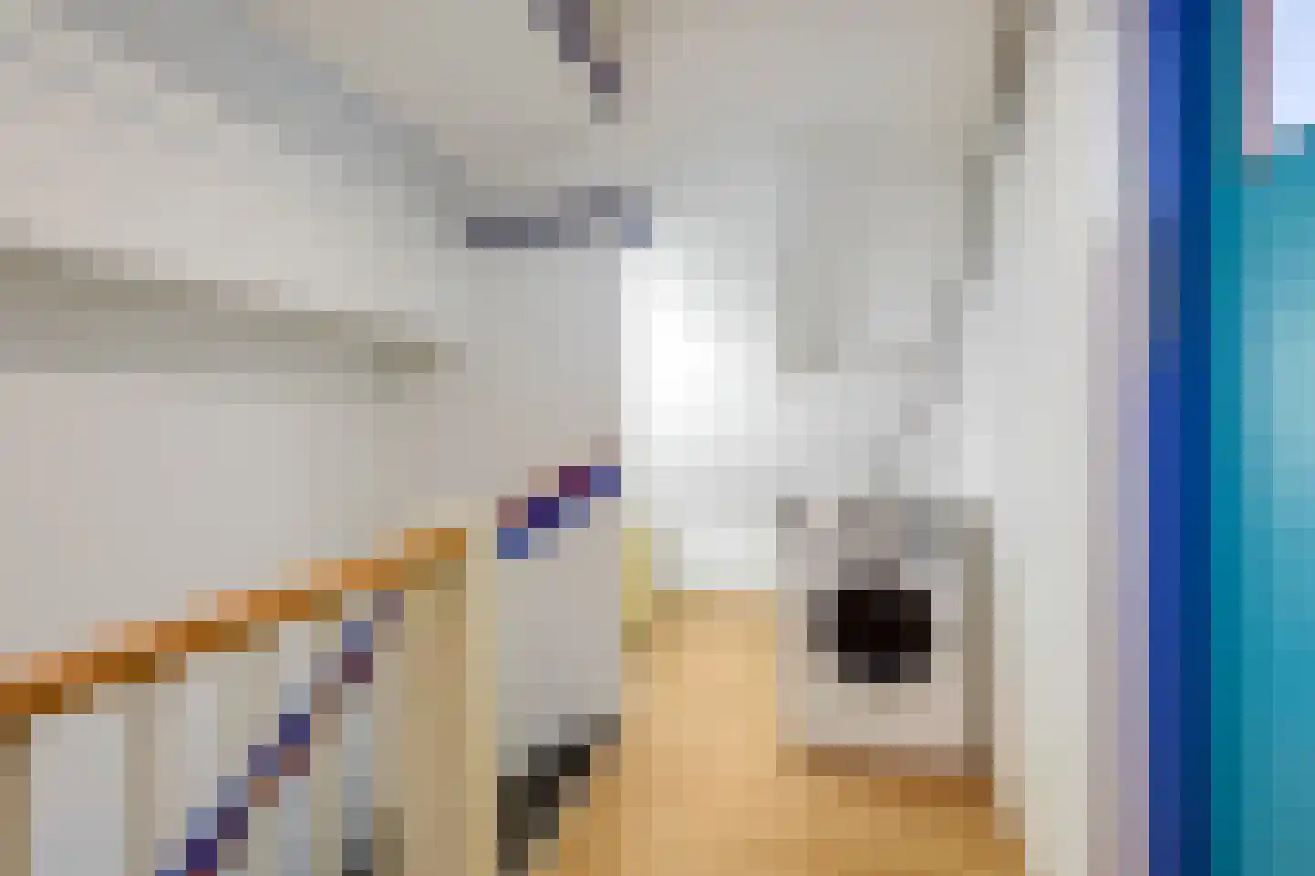 Kralingenpad 27 Arnhem thumbnail 22
