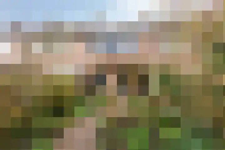Kralingenpad 27 Arnhem thumbnail 25