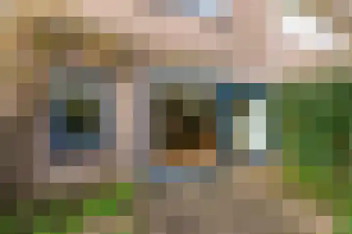 Kralingenpad 27 Arnhem thumbnail 26
