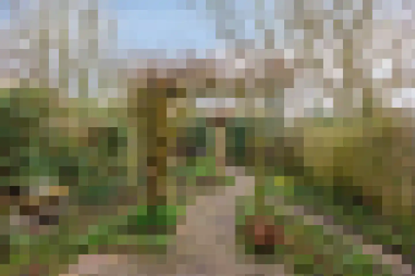 Kralingenpad 27 Arnhem thumbnail 27