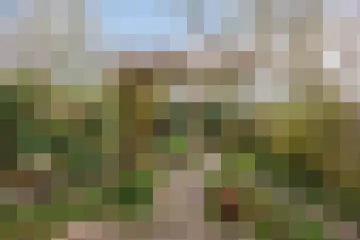 Kralingenpad 27 Arnhem thumbnail 27