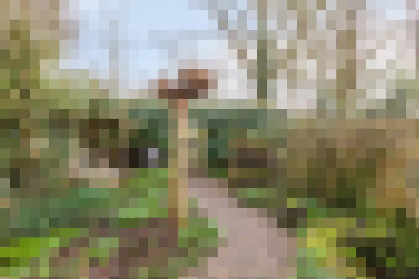 Kralingenpad 27 Arnhem thumbnail 28