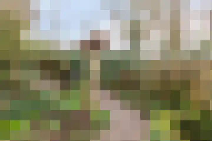 Kralingenpad 27 Arnhem thumbnail 28