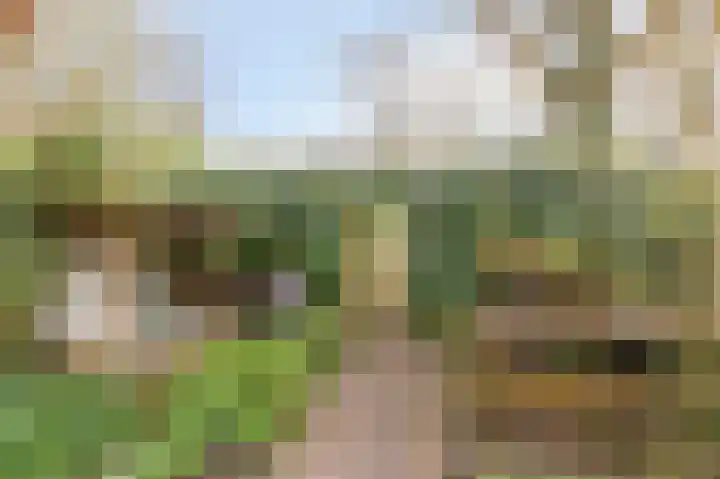 Kralingenpad 27 Arnhem thumbnail 29