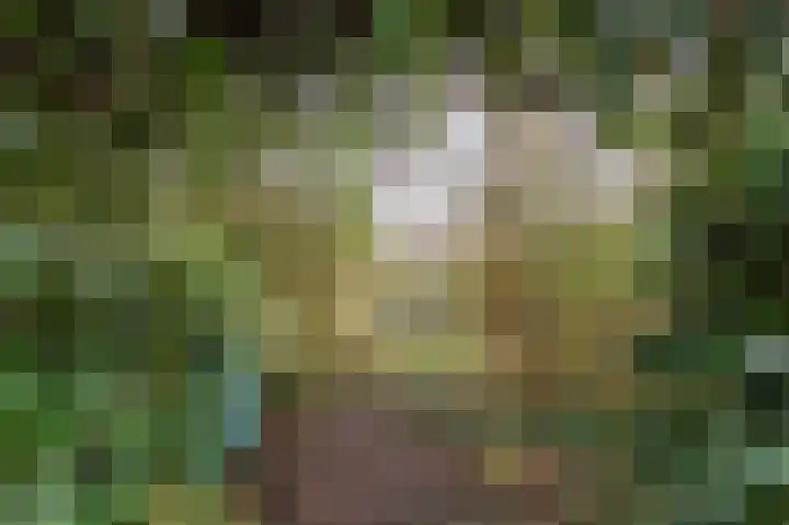Kralingenpad 27 Arnhem thumbnail 30