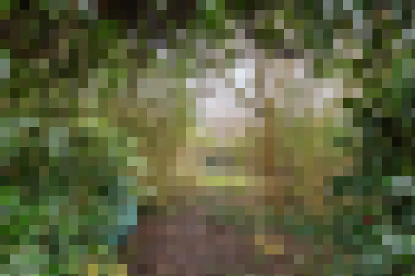 Kralingenpad 27 Arnhem thumbnail 30