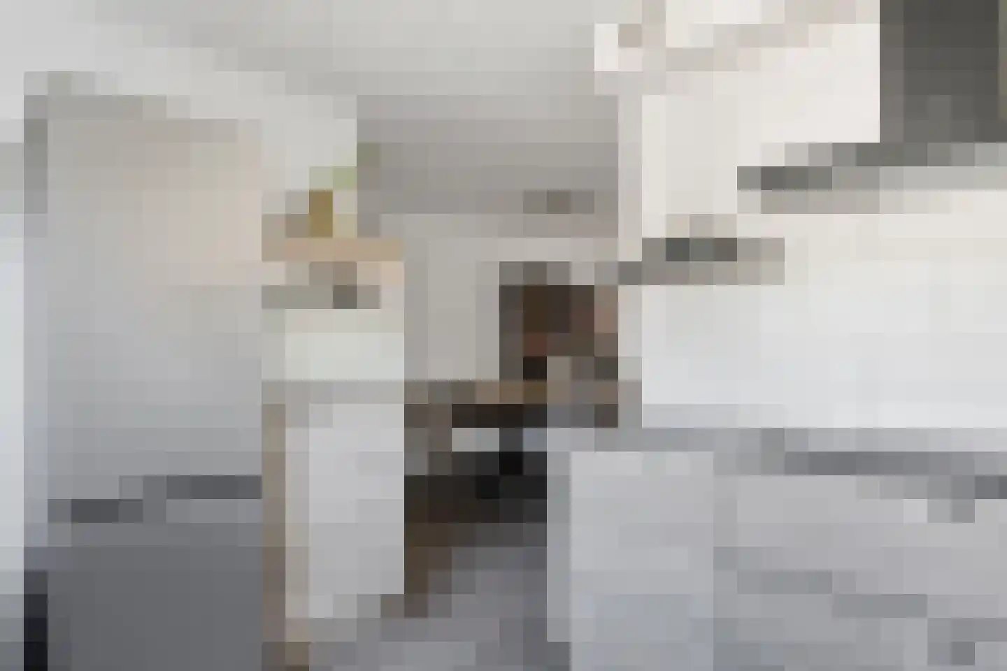 Kralingenstraat 10 Tilburg thumbnail 15
