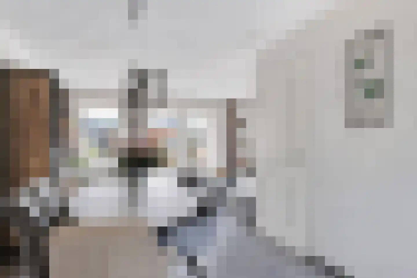 Kralingenstraat 10 Tilburg thumbnail 9