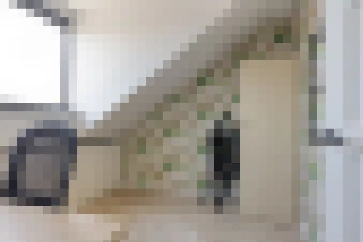 Kralingenstraat 22 Tilburg thumbnail 26