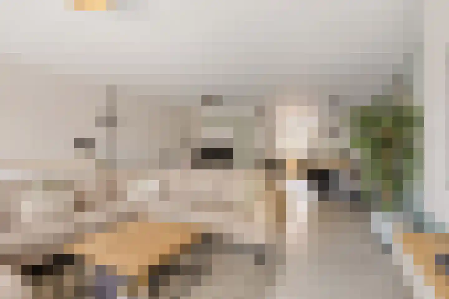 Kralingenstraat 22 Tilburg thumbnail 5